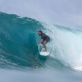 Surfboard TORQ ACT Prepreg Delpero Pro 9.1 Grün