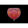 Windsurfboard Tabou Da Curve TT PRO 2025
