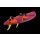 Windsurfboard Tabou Da Curve TT PRO 2025